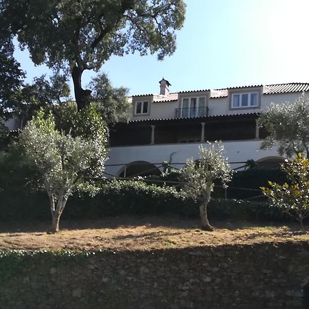 فيلا Casa Ribeira De Pera كاستانهيرا دي بيرا المظهر الخارجي الصورة